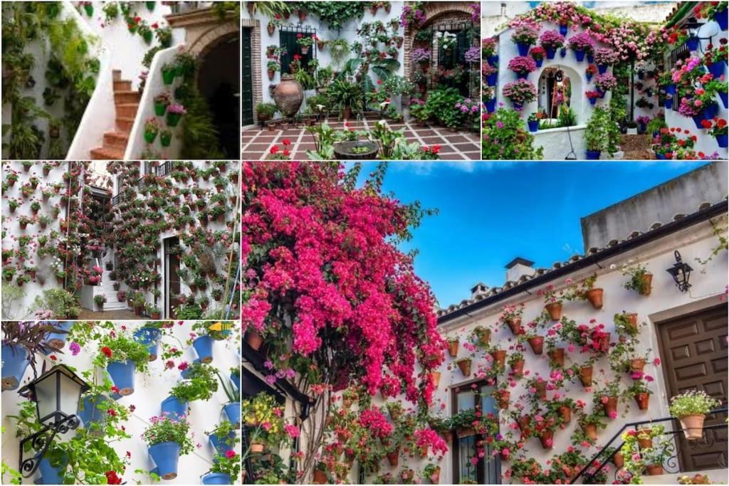 Apartamento Centrico En El Casco Historico De Córdoba Exterior foto